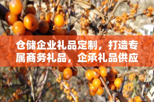 仓储企业礼品定制，打造专属商务礼品，企承礼品供应链助力企业福利升级